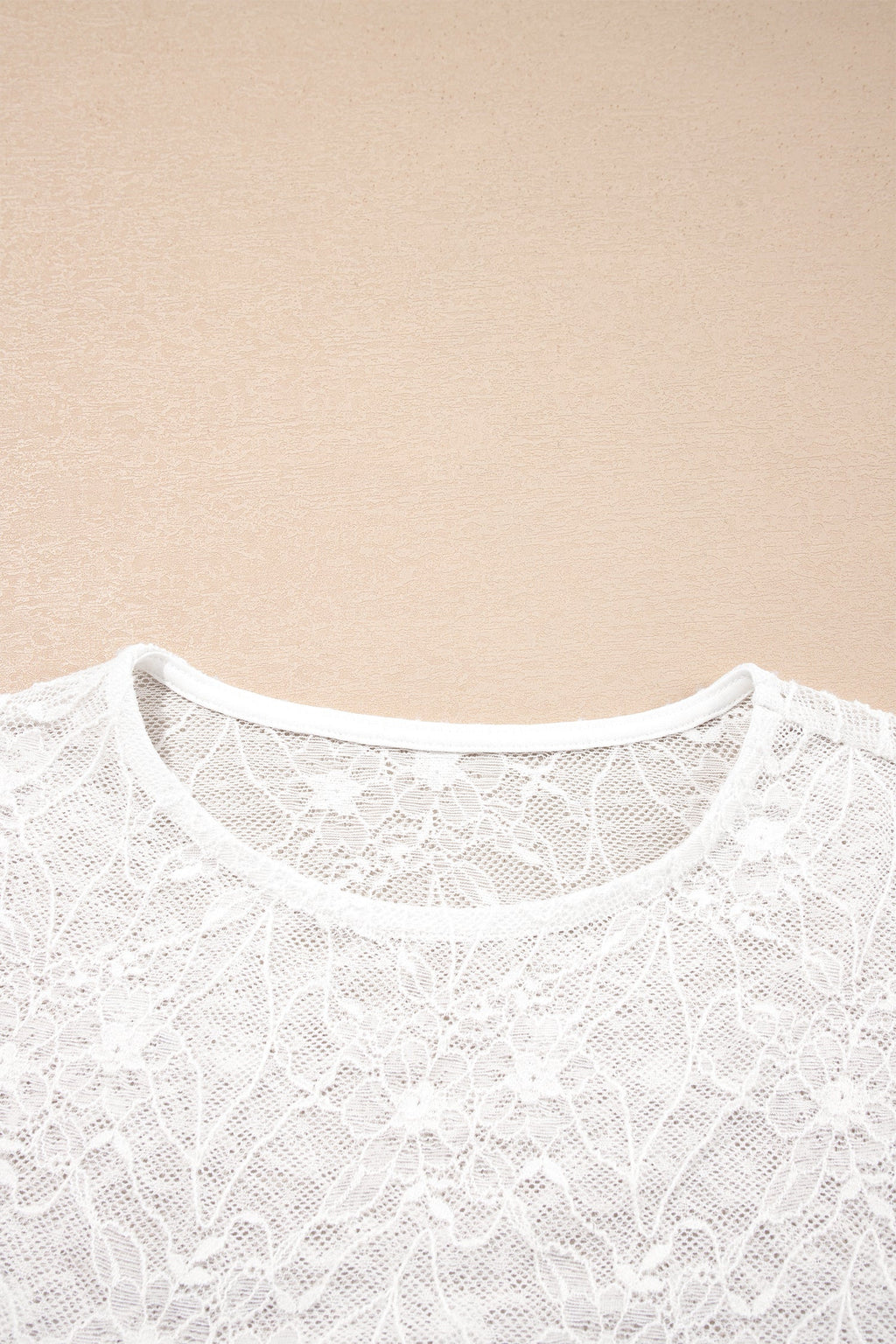 Sheer Lace Mesh Crew Neck Long Sleeve Top