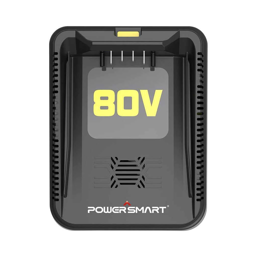 80V Battery Charger DB2208 (Battery Not Included)