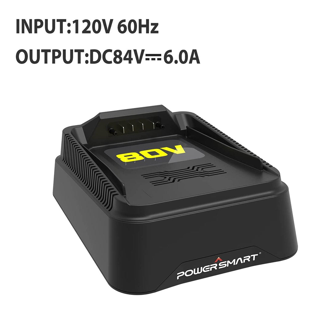 80V Battery Charger DB2208 (Battery Not Included)