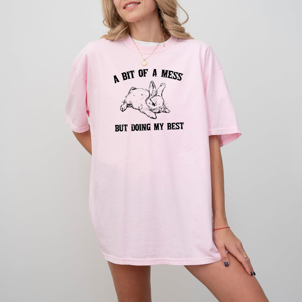 A Bit Of A Mess, Doing My Best Cute Bunny Rabbit Meme Graphic Comfort Colors Tee