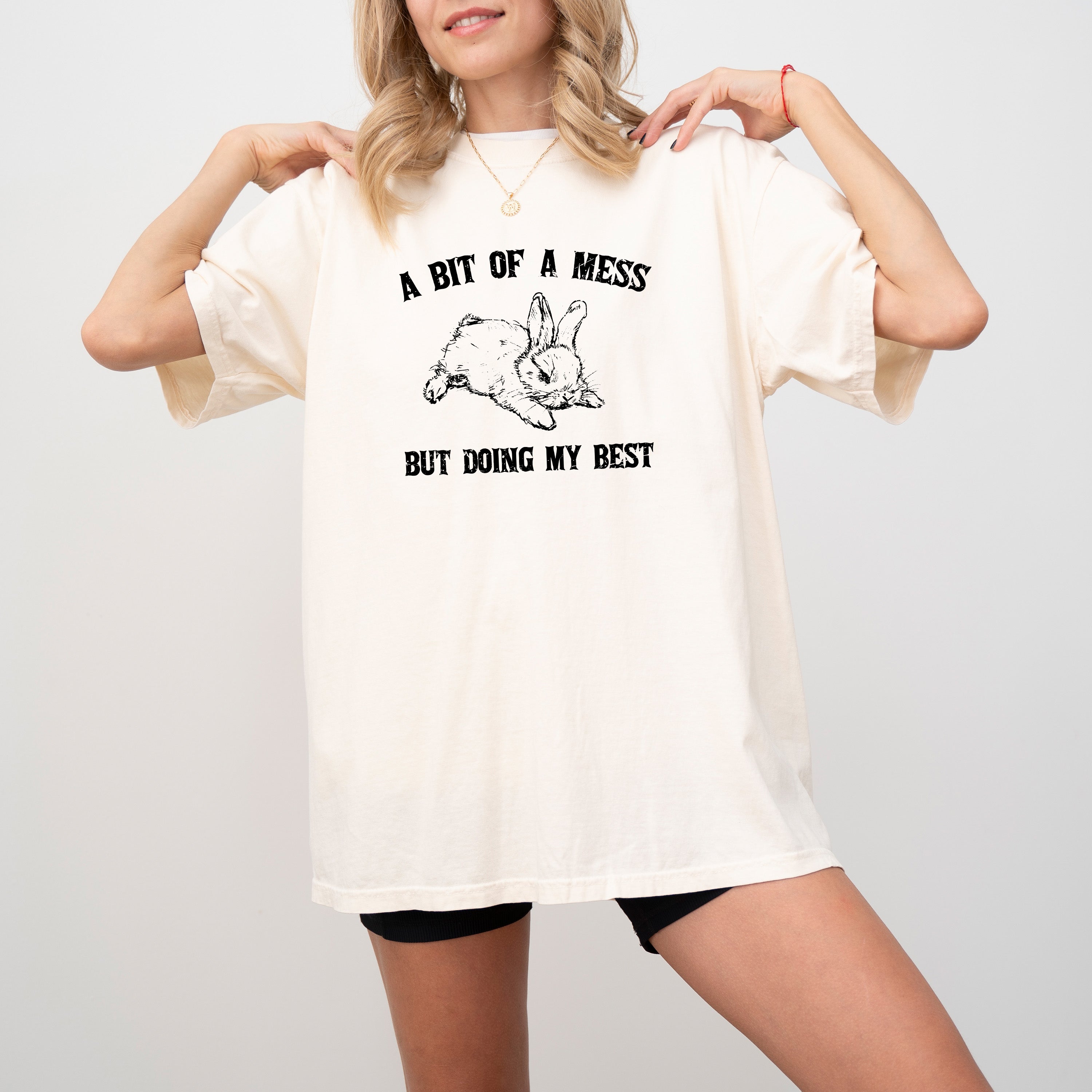 A Bit Of A Mess, Doing My Best Cute Bunny Rabbit Meme Graphic Comfort Colors Tee