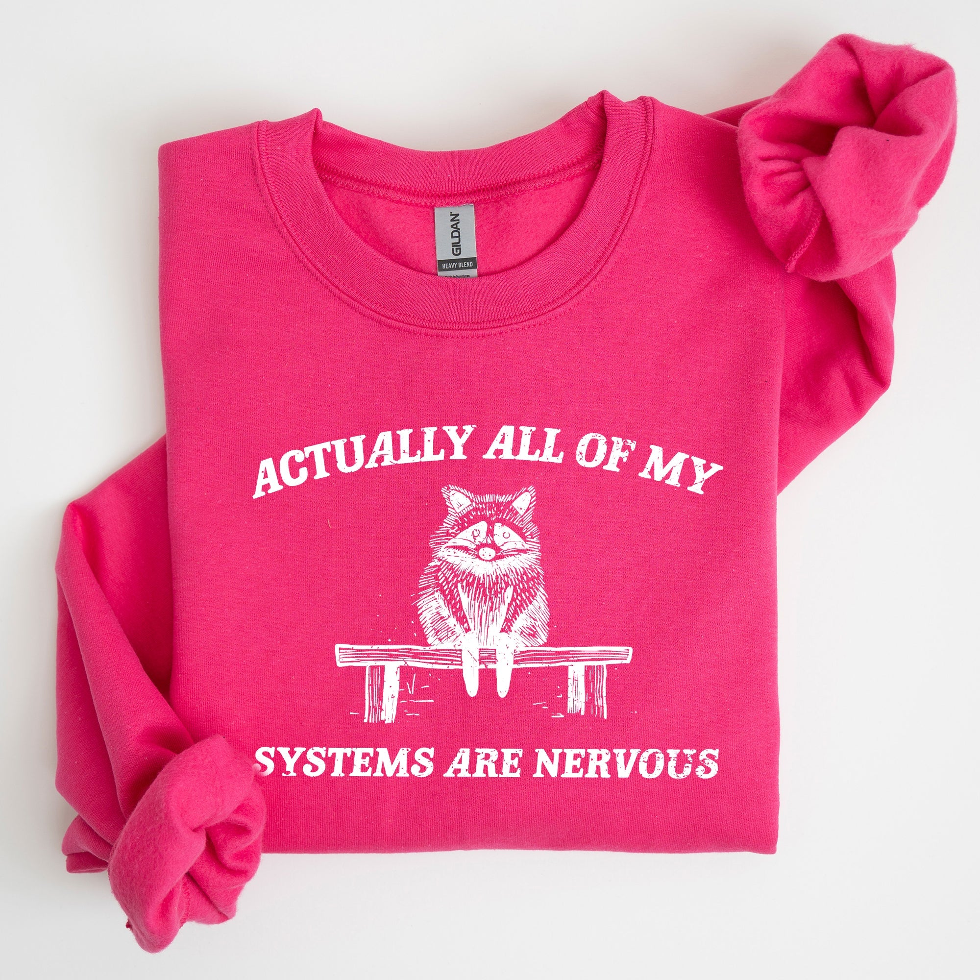All Of My Systems Are Nervous Anxiety Raccoon Mental Health Expression Sweatshirt