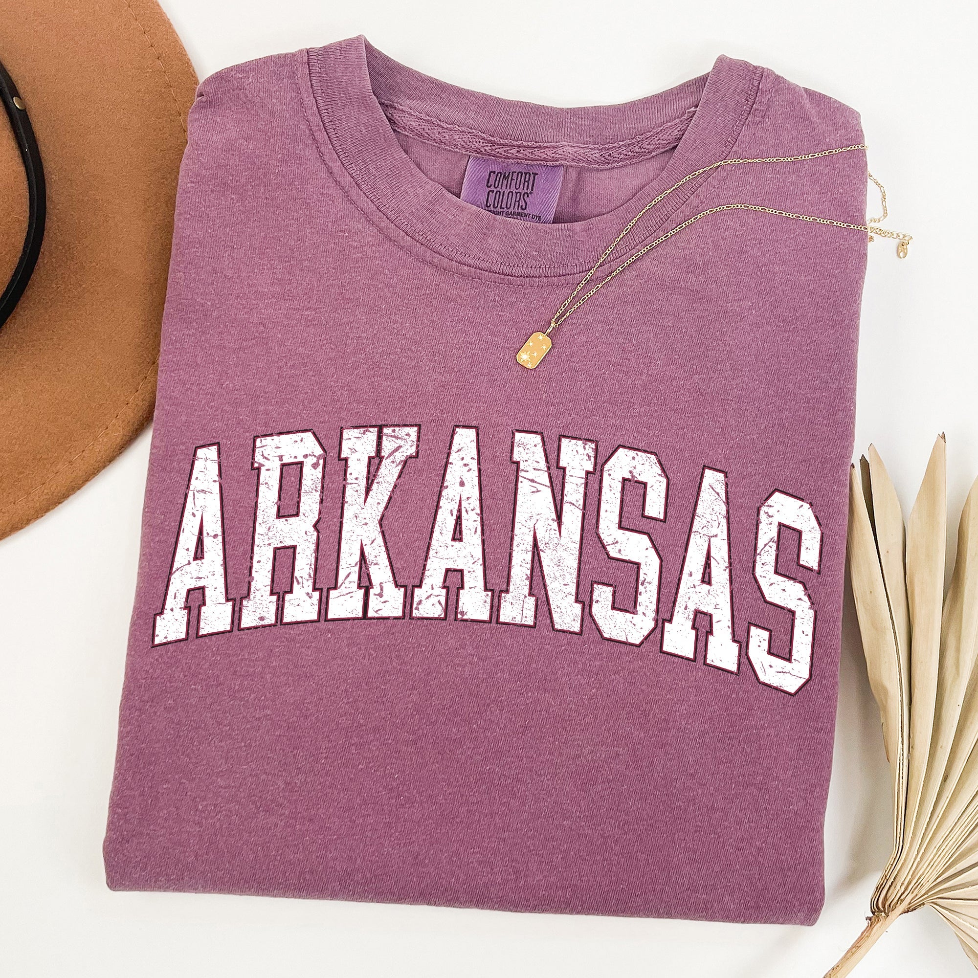 Arkansas Football Game Day Tailgate State Pride Featuring Classic University Heraldry Comfort Colors Tee