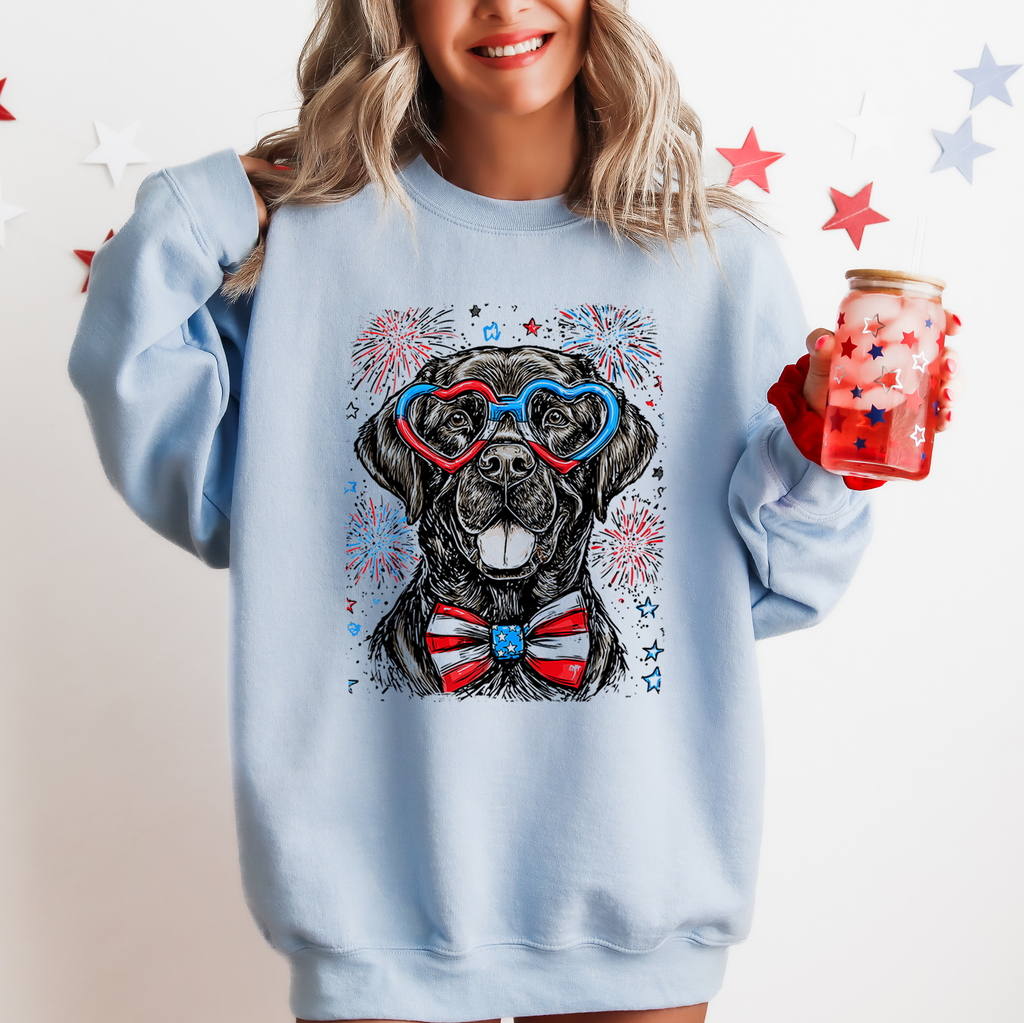 Black Labrador Patriotic Dog USA 4th Of July Pride For Pet Lovers Cozy Sweatshirt
