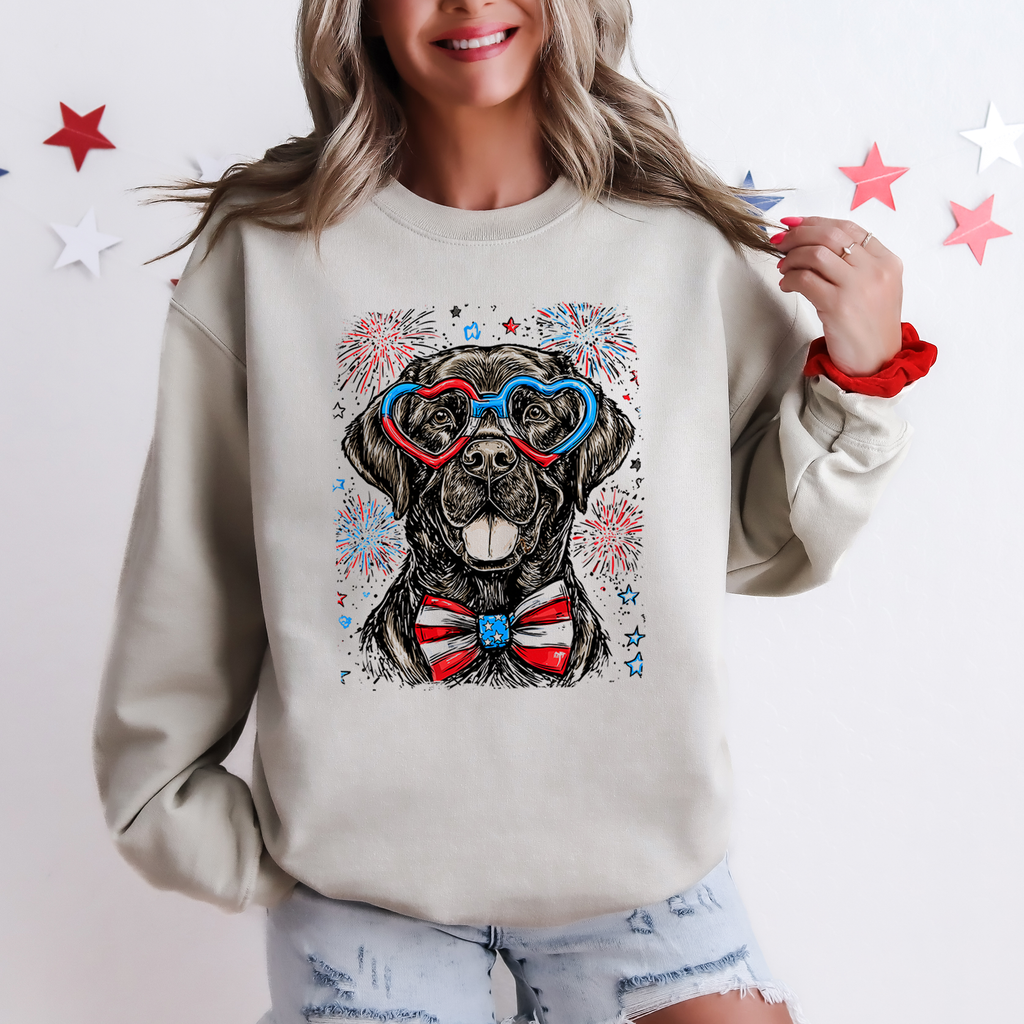 Black Labrador Patriotic Dog USA 4th Of July Pride For Pet Lovers Cozy Sweatshirt
