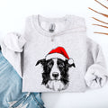 Border Collie Lover Graphic Portrait Celebration Of The Beloved Herding Breed For Dog Enthusiasts Sweatshirt
