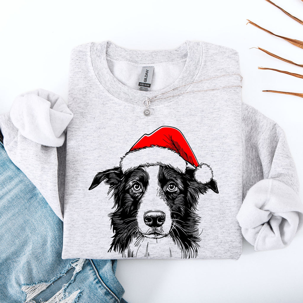 Border Collie Santa Christmas Dog Lover Pet Festive Cozy Warm Winter Premium Sweatshirt
