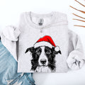 Border Collie Santa Christmas Dog Lover Pet Festive Cozy Warm Winter Premium Sweatshirt
