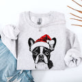 Boston Terrier Dog Lover Apparel For Pet Owners And Dog Enthusiasts And Collectors Sweatshirt