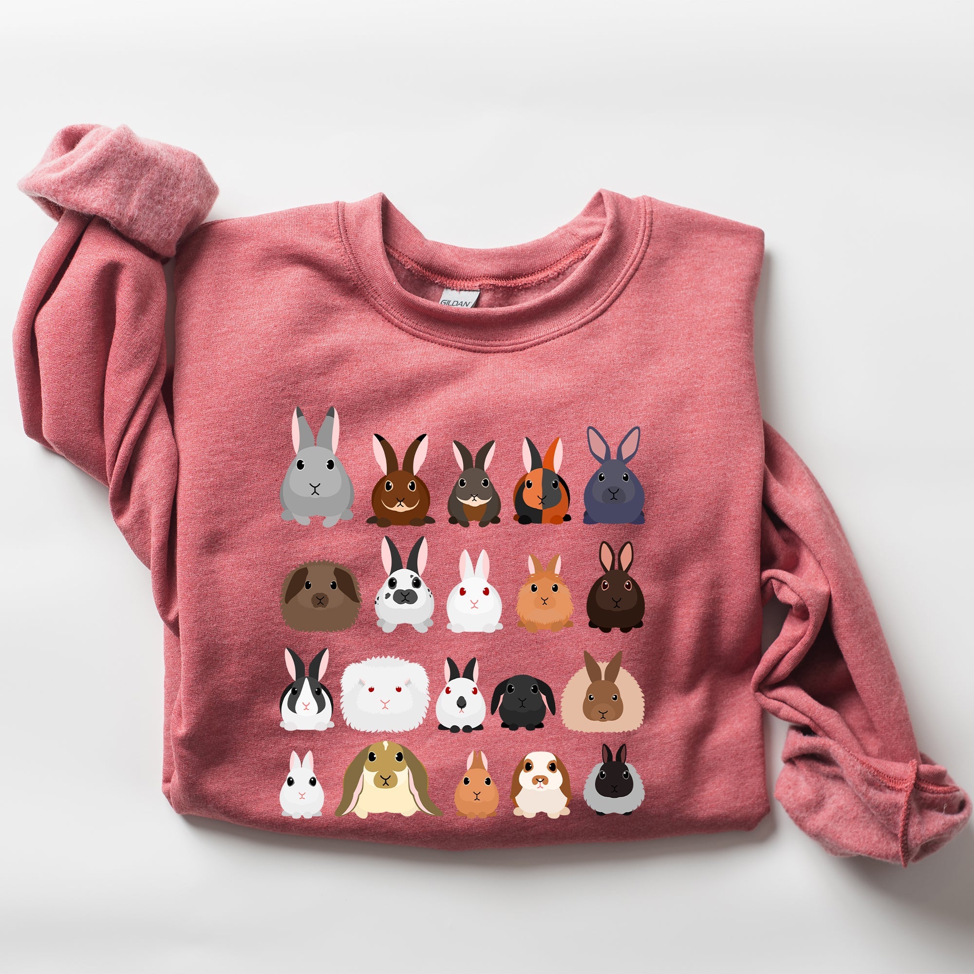 Colorful Rabbit Breeds, Rabbits In A Row, Easter Collection Artwork Featuring Playful Rabbits Graphic Sweatshirt