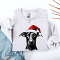 Doberman Dog Lover Breed Graphic Enthusiast The Ultimate Pet Owner Deluxe Sweatshirt