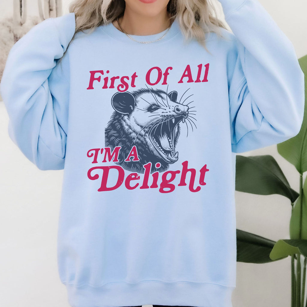 First Of All I'm A Delight Possum Sarcastic Quote Graphic Cozy Warm Bold Statement Sweatshirt