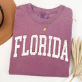 Florida Football State Pride Tailgate Edition Game Day Spirit Comfort Colors Tee