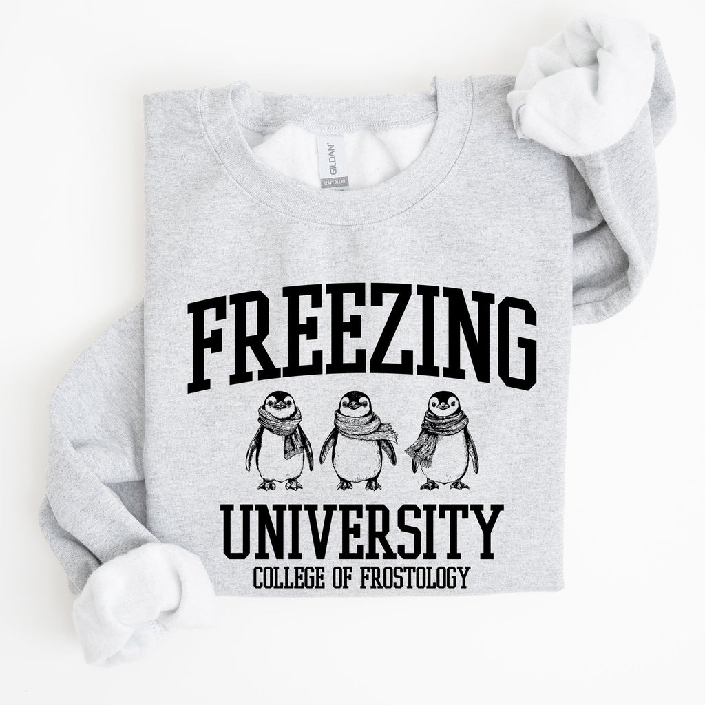 Freezing University Whimsical Penguins Winter Cozy Snowy Landscape For Cold Day Sweatshirt