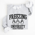 Freezing University Whimsical Penguins Winter Cozy Snowy Landscape For Cold Day Sweatshirt