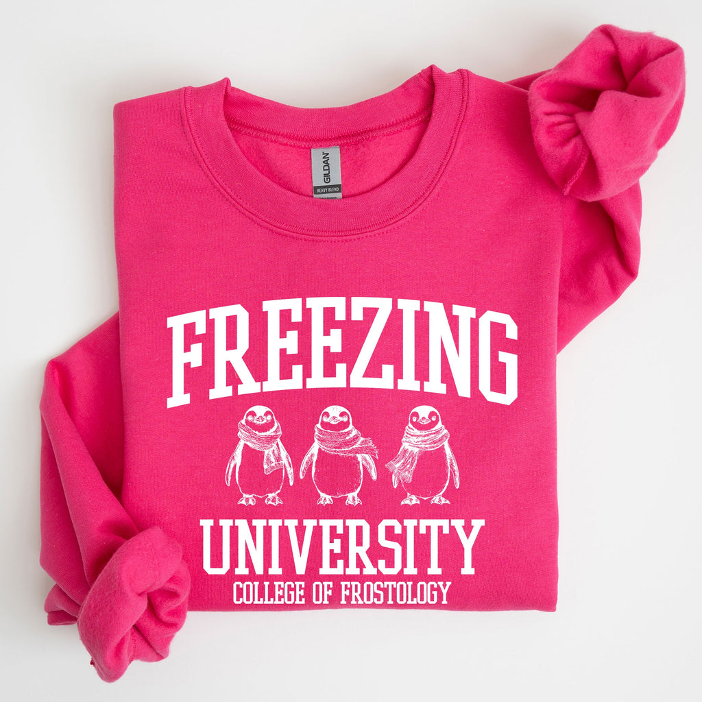 Freezing University Whimsical Penguins Winter Cozy Snowy Landscape For Cold Day Sweatshirt
