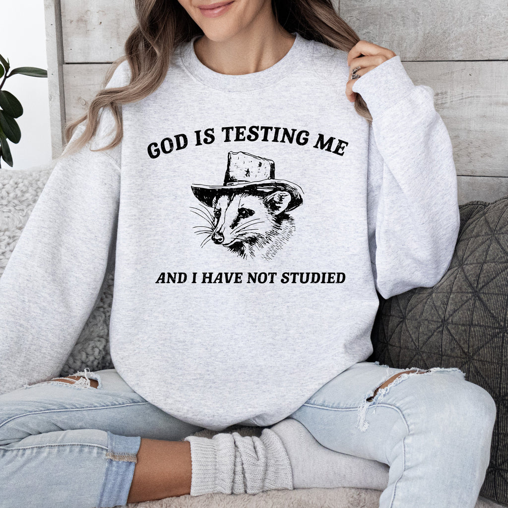 God Is Testing Me And I Have Not Studied Opossum Possum Meme Classic Edition Sweatshirt