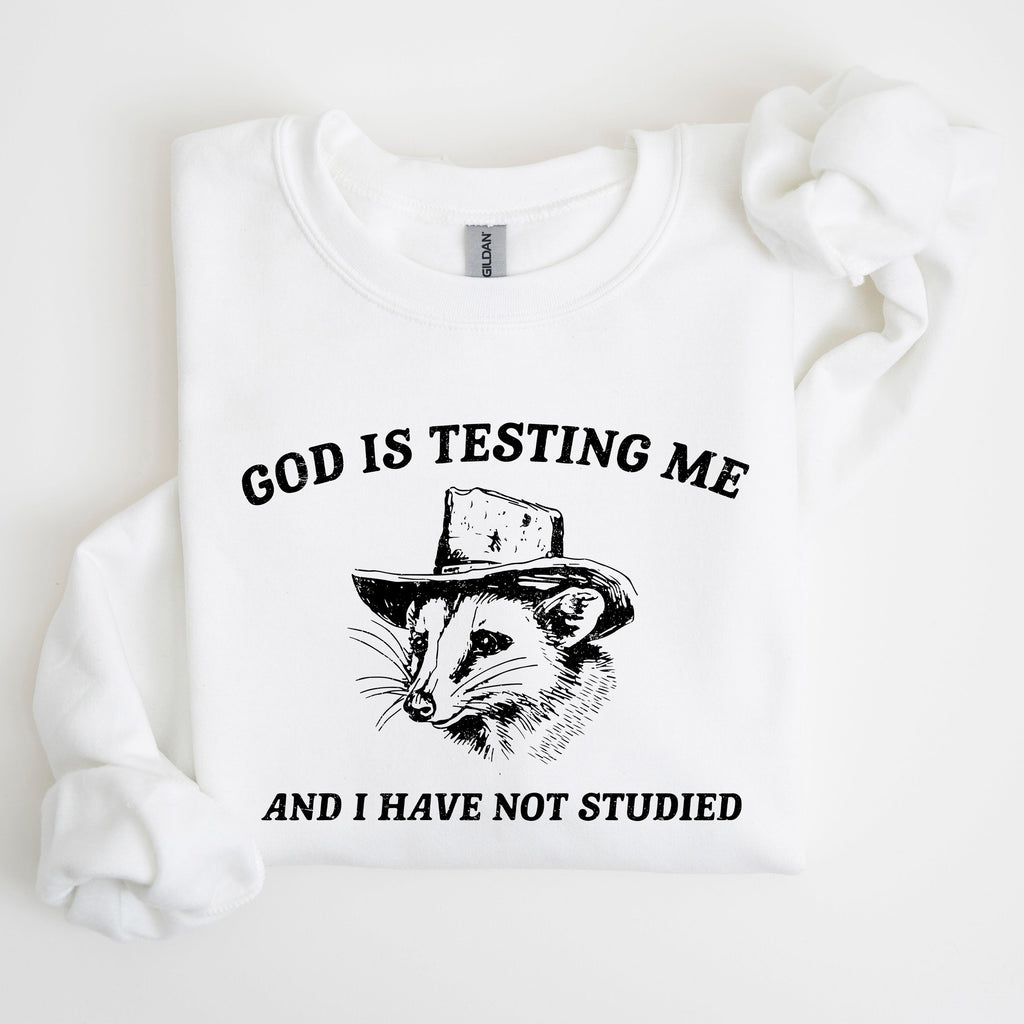 God Is Testing Me And I Have Not Studied Opossum Possum Meme Classic Edition Sweatshirt