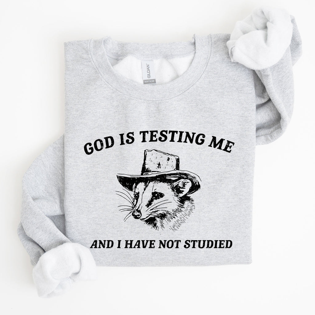 God Is Testing Me Opossum Possum Graphic Expression Of Faith Wit And Southern Charm Sweatshirt