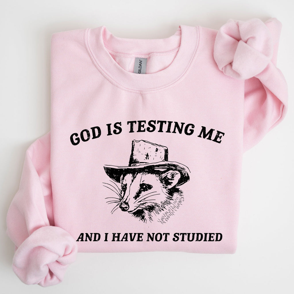God Is Testing Me Opossum Possum Graphic Expression Of Faith Wit And Southern Charm Sweatshirt