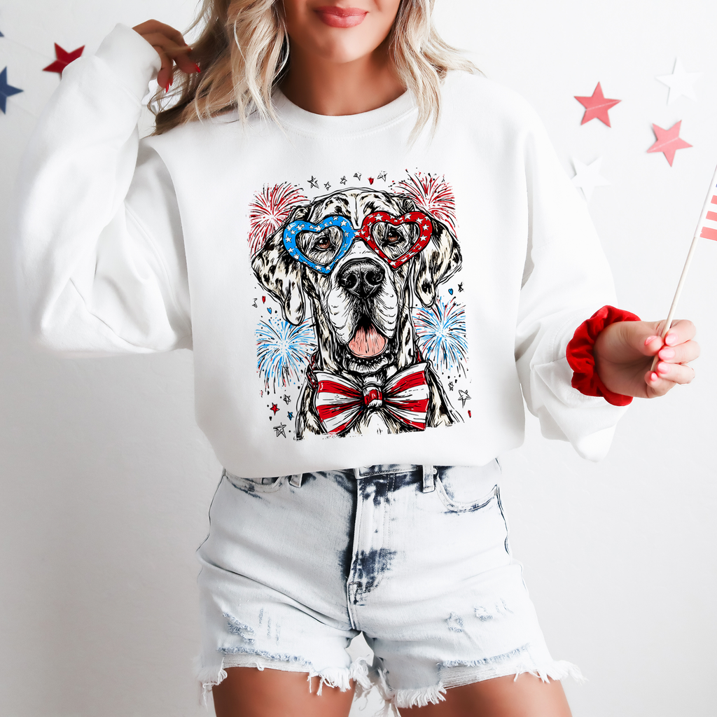 Great Dane Patriotic Dog 4th Of July USA Pride For Pet Lover Premium Cozy Sweatshirt