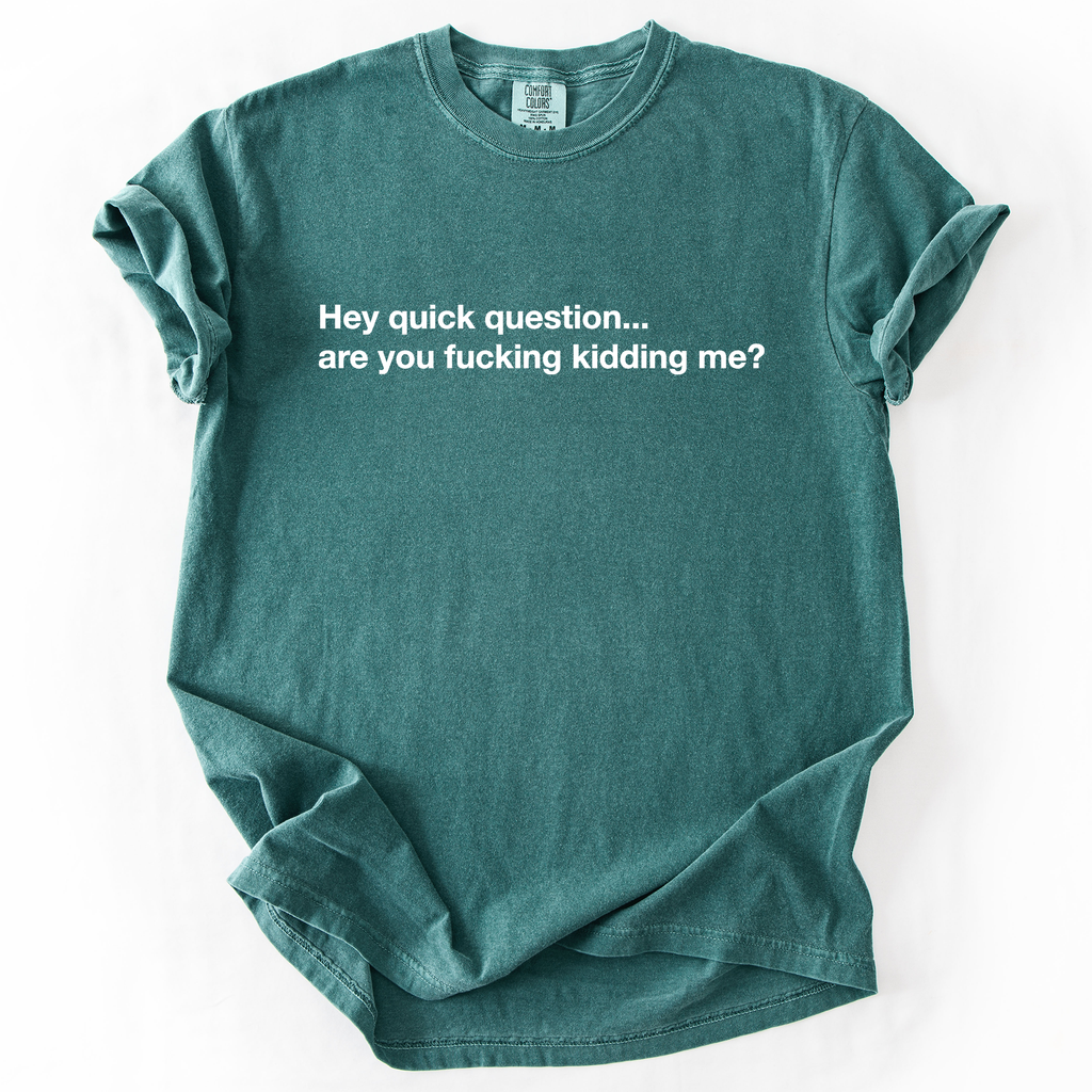 Hey Quick Question, Are You Kidding Me, Vulgar, Sassy, Sarcastic, Minimalist, Funny Comfort Colors Tee