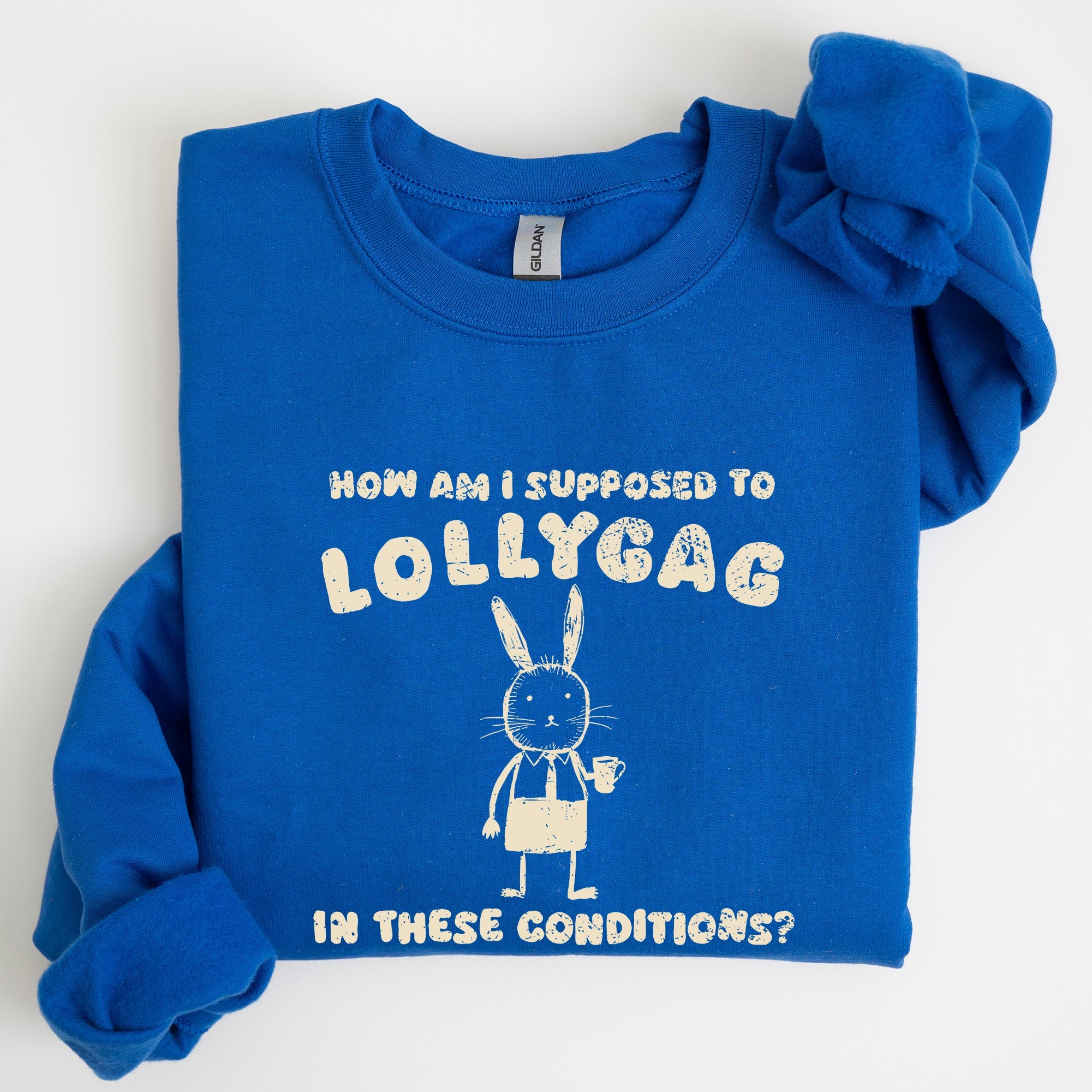 How Am I Supposed To Lollygag Rabbit Bunny Meme Illustration For All Memes Sweatshirt