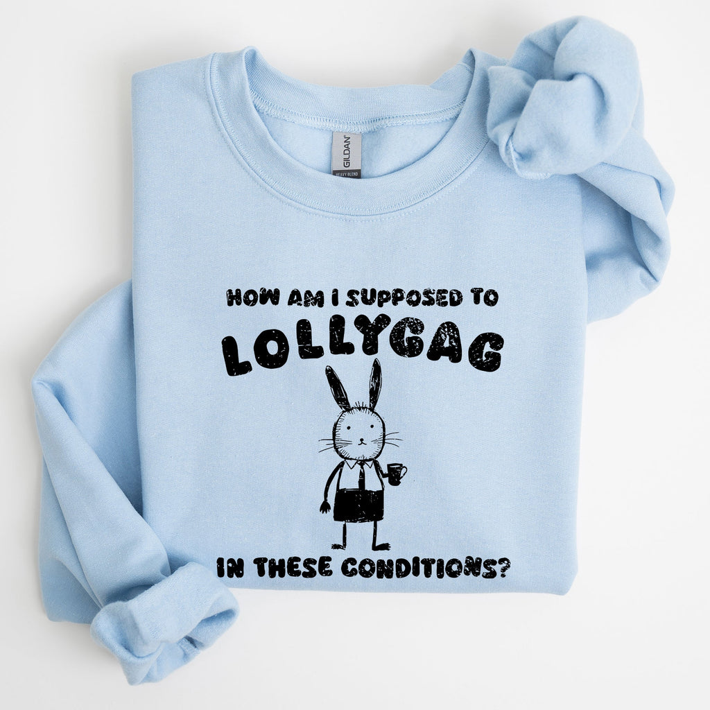 How Am I Supposed To Lollygag Rabbit Bunny Meme Illustration For All Memes Sweatshirt