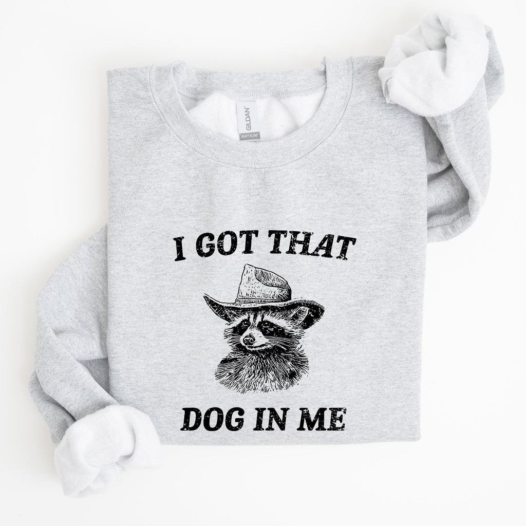 I Got That Dog In Me Raccoon Meme Laughing At The Internet Everyday Today Sweatshirt