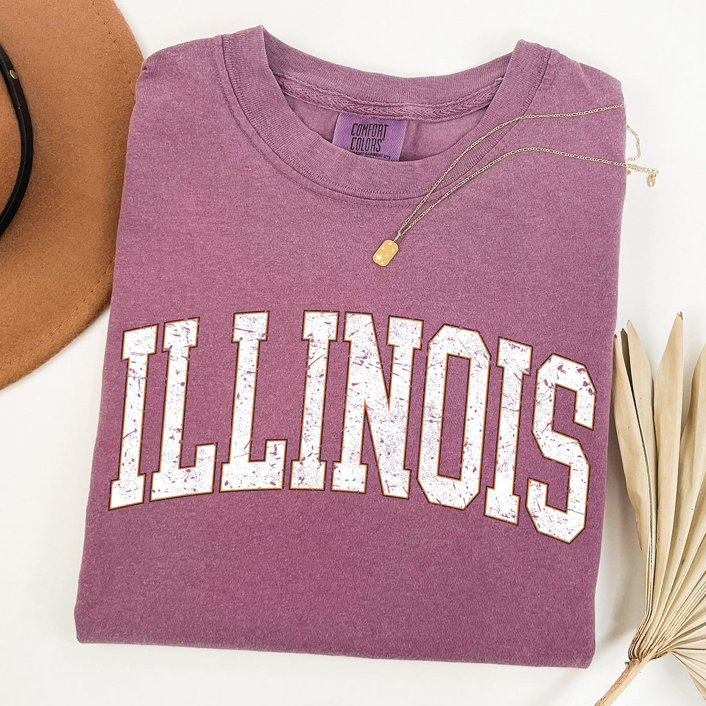 Illinois Football Tailgate Party Big Game State Pride University College Comfort Colors Tee