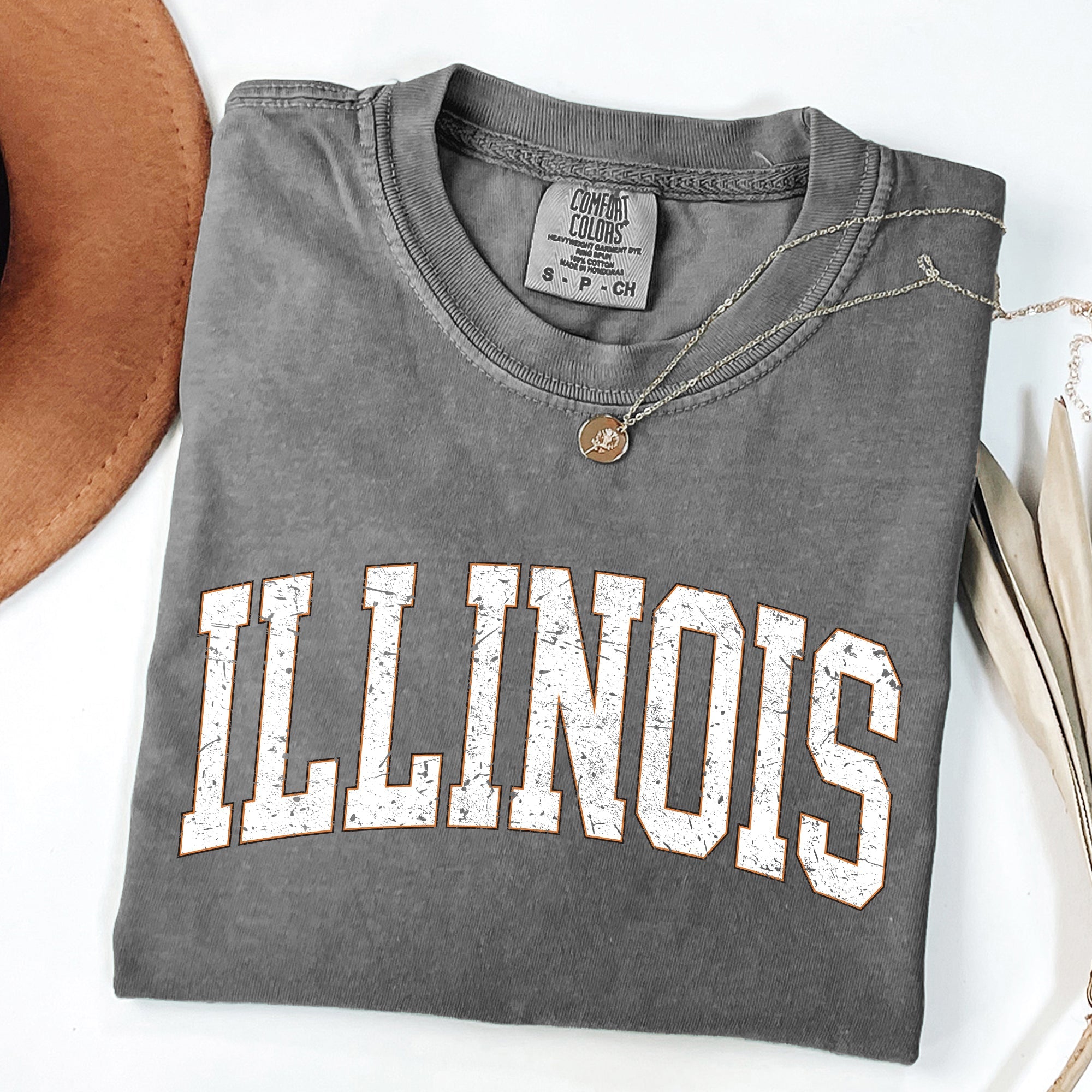 Illinois Football Tailgate Party Big Game State Pride University College Comfort Colors Tee