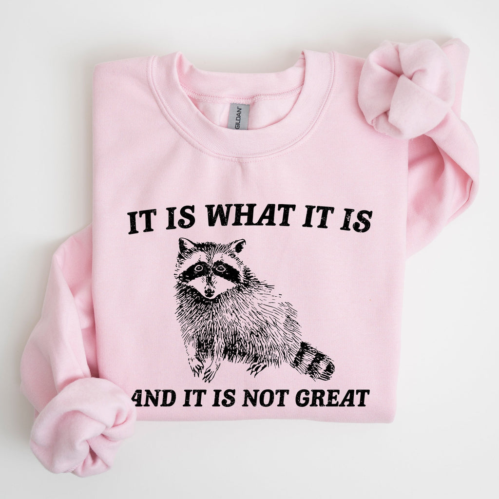 It Is What It Is And It Is Not Great Raccoon Trash Panda Meme Edition Sweatshirt
