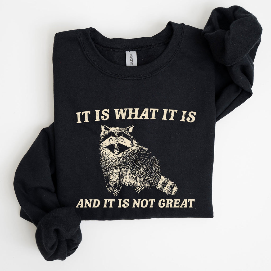 It Is What It Is And It Is Not Great Raccoon Funny Limited Edition Comfort Colors Everyday Casual Wear Sweatshirt