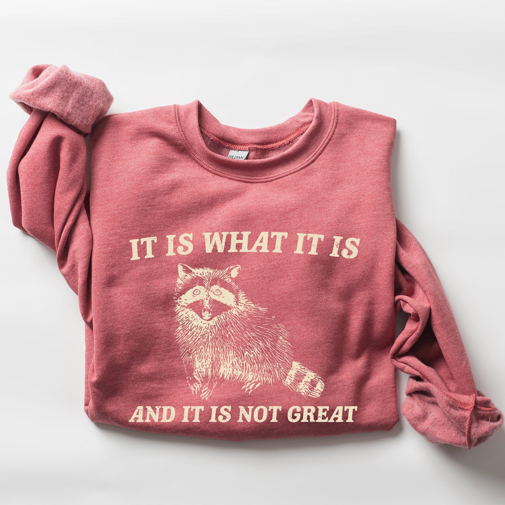 It Is What It Is And It Is Not Great Raccoon Funny Limited Edition Comfort Colors Everyday Casual Wear Sweatshirt