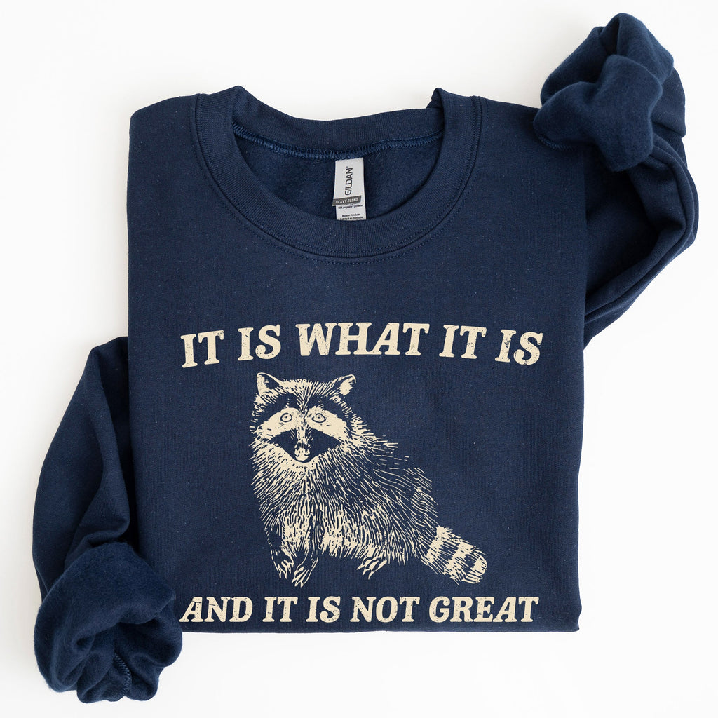 It Is What It Is And It Is Not Great Raccoon Funny Limited Edition Comfort Colors Everyday Casual Wear Sweatshirt