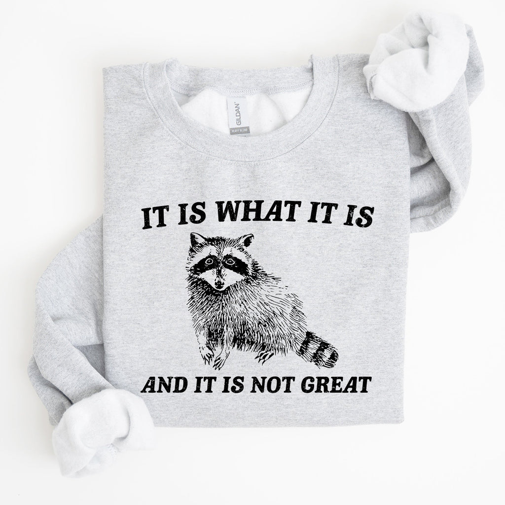 It Is What It Is And It Is Not Great Raccoon Funny Limited Edition Comfort Colors Everyday Casual Wear Sweatshirt