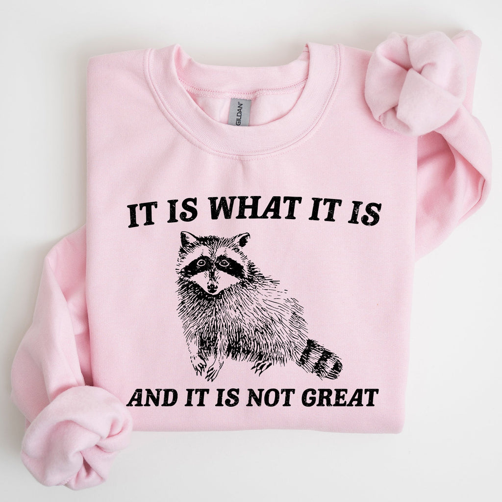 It Is What It Is And It Is Not Great Raccoon Funny Limited Edition Comfort Colors Everyday Casual Wear Sweatshirt