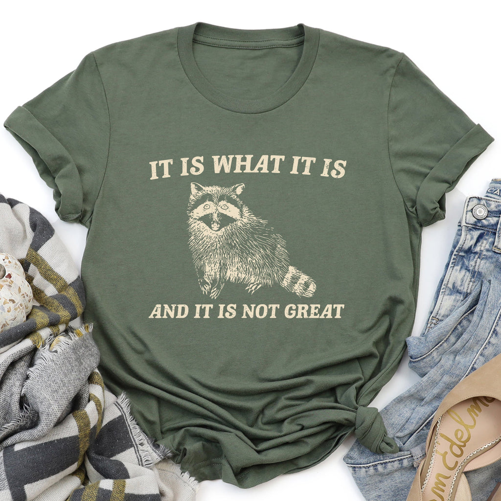It Is What It Is And It's Not Great Raccoon Meme Edition Deluxe Collection Limited Edition Comfort Colors Tee