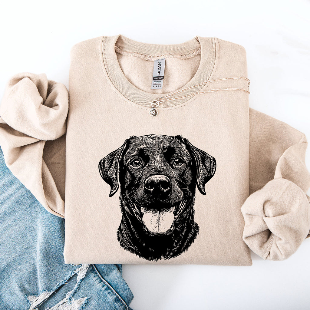 Black Lab Labrador Retriever Enthusiast Apparel For Dog Lovers Graphic Sweatshirt
