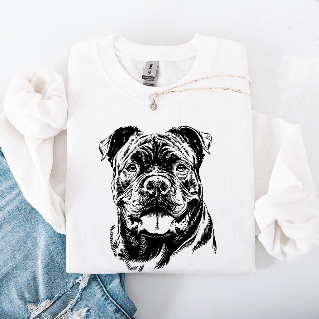 Premium Classic Cane Corso Dog Breed Lover Timeless Portrait Graphic For Dog Lovers Sweatshirt