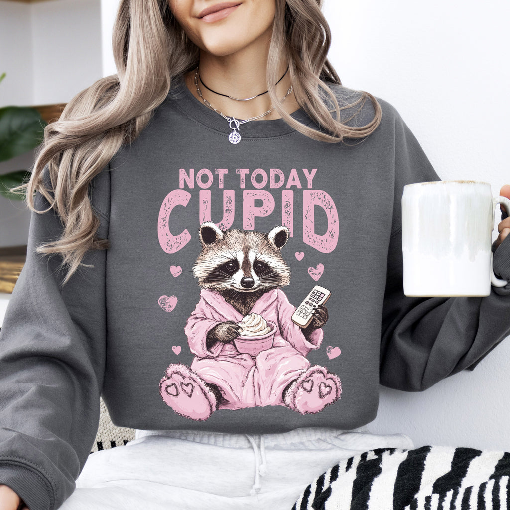 Not Today Cupid Feral Raccoon Valentine's Day Love For Pun Lovers Graphic Sweatshirt