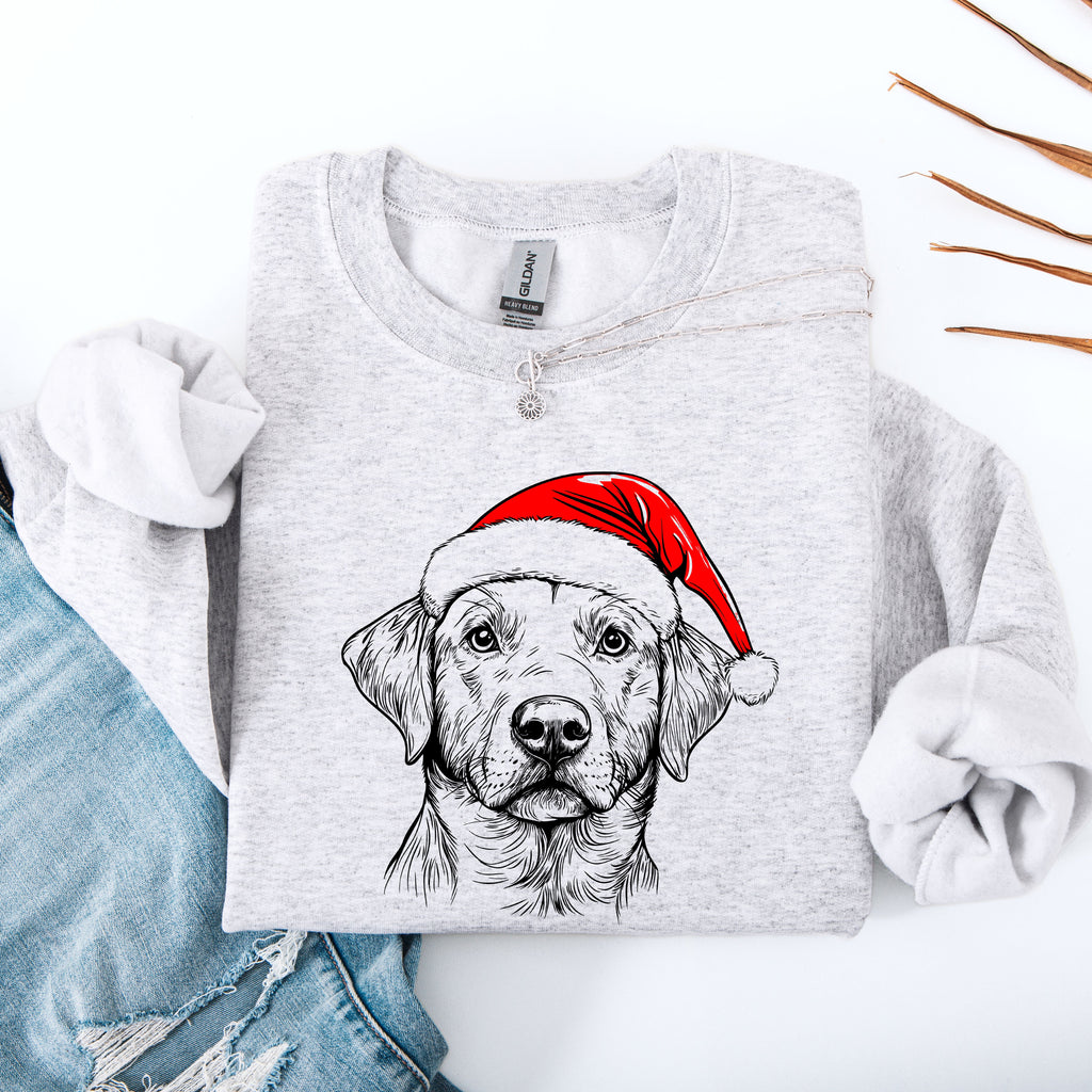 Labrador Retriever Lover Dog Breed Enthusiast Apparel Official Premium Cozy Sweatshirt