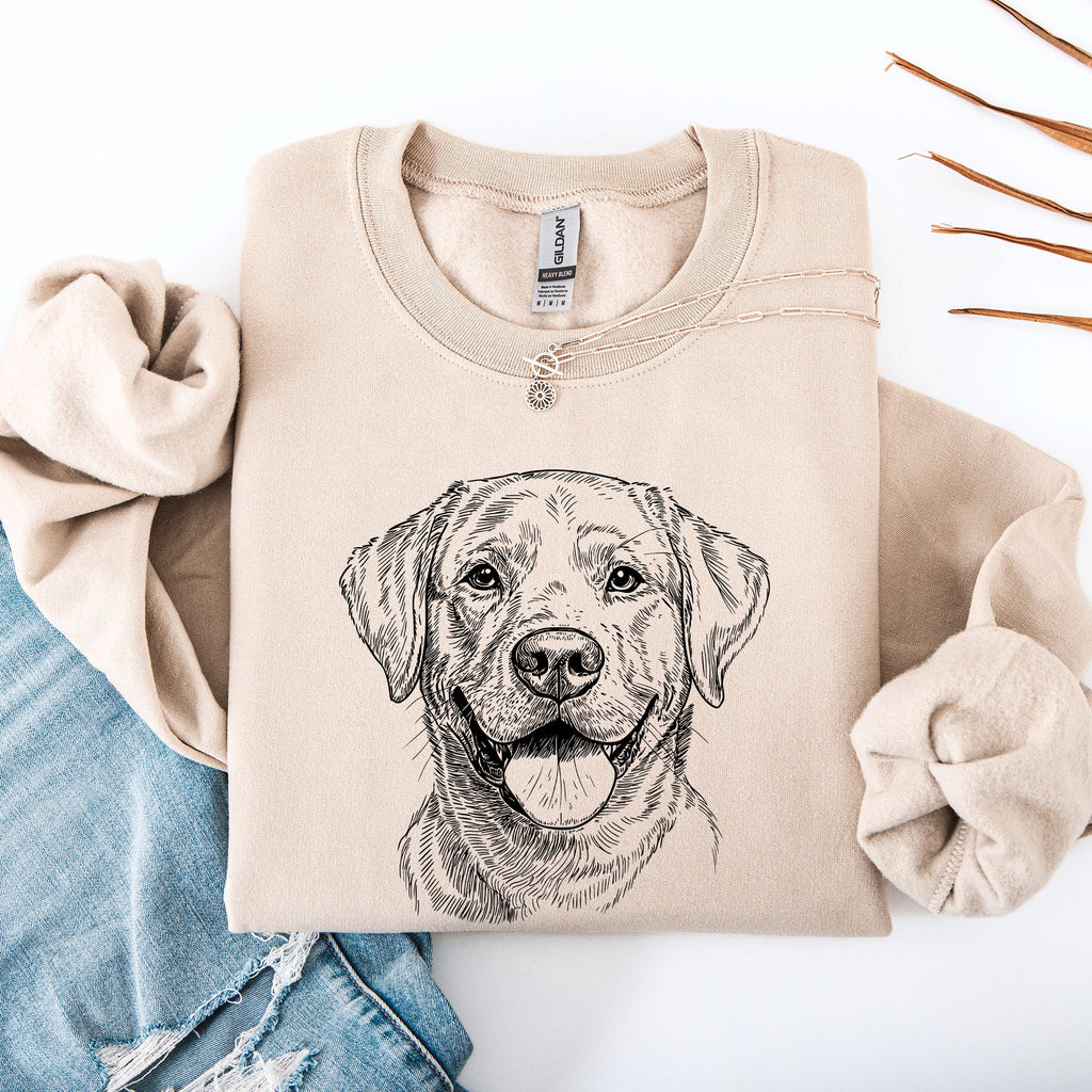 Labrador Retriever Lover Dog Breed Enthusiast Apparel Official Premium Cozy Sweatshirt