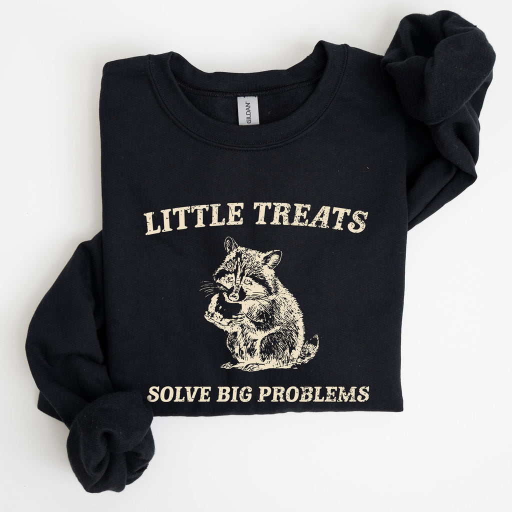 Little Treats Solve Big Problems Raccoon Meme Aesthetic Funny Edition Sweatshirt