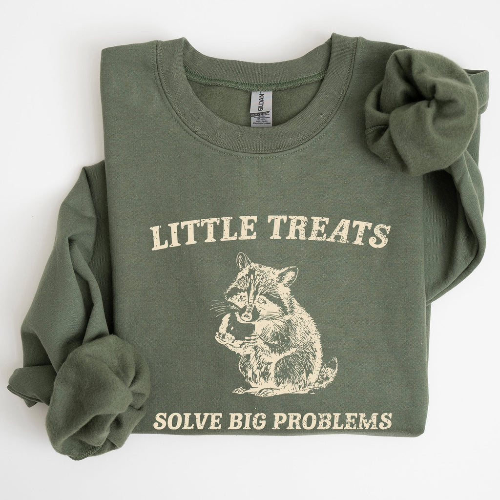 Little Treats Solve Big Problems Raccoon Meme Aesthetic Funny Edition Sweatshirt