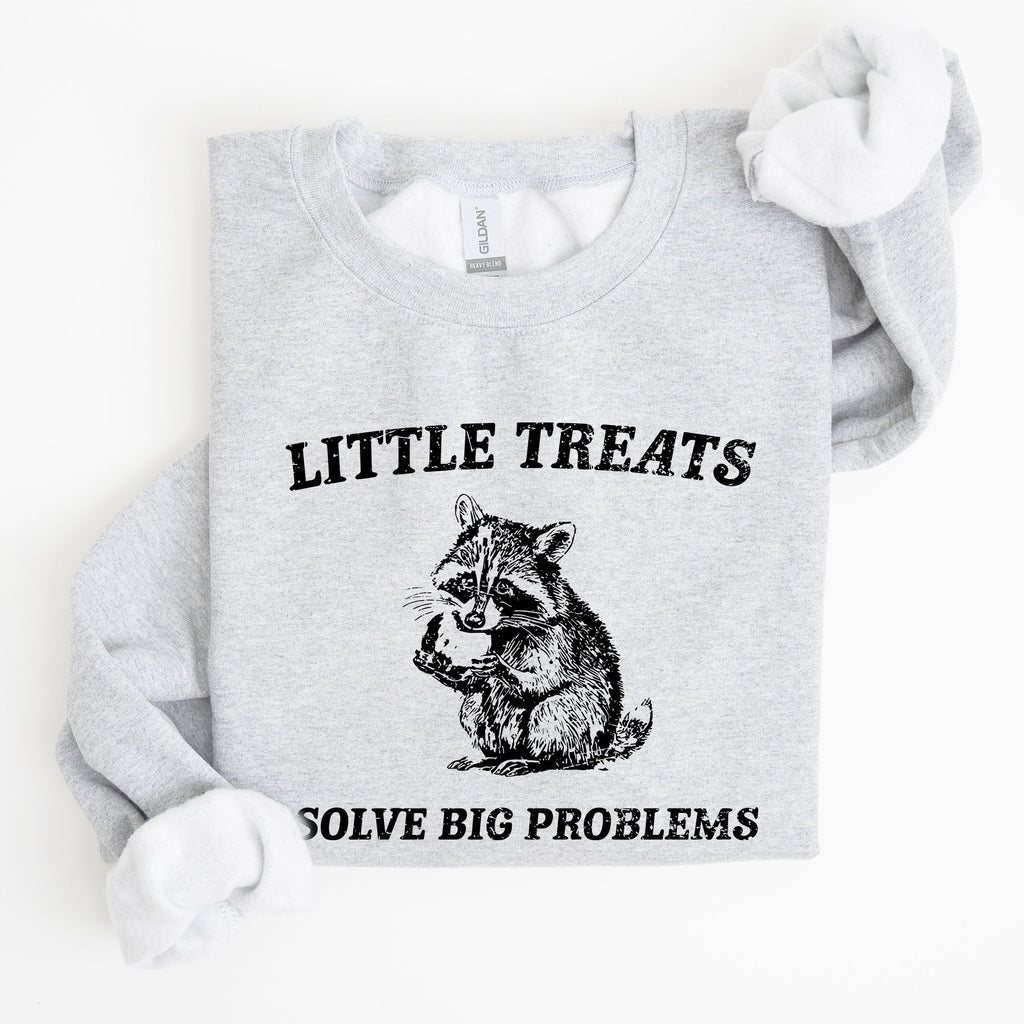 Little Treats Solve Big Problems Raccoon Meme Aesthetic Funny Edition Sweatshirt