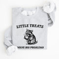 Little Treats Solve Big Problems Raccoon Meme Aesthetic Funny Edition Sweatshirt