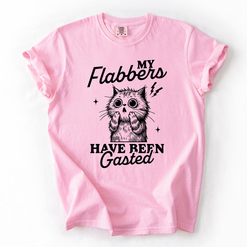My Flabbers Have Been Gasted, Flabbergasted Cat Sass And Sarcasm Comfort Colors Tee