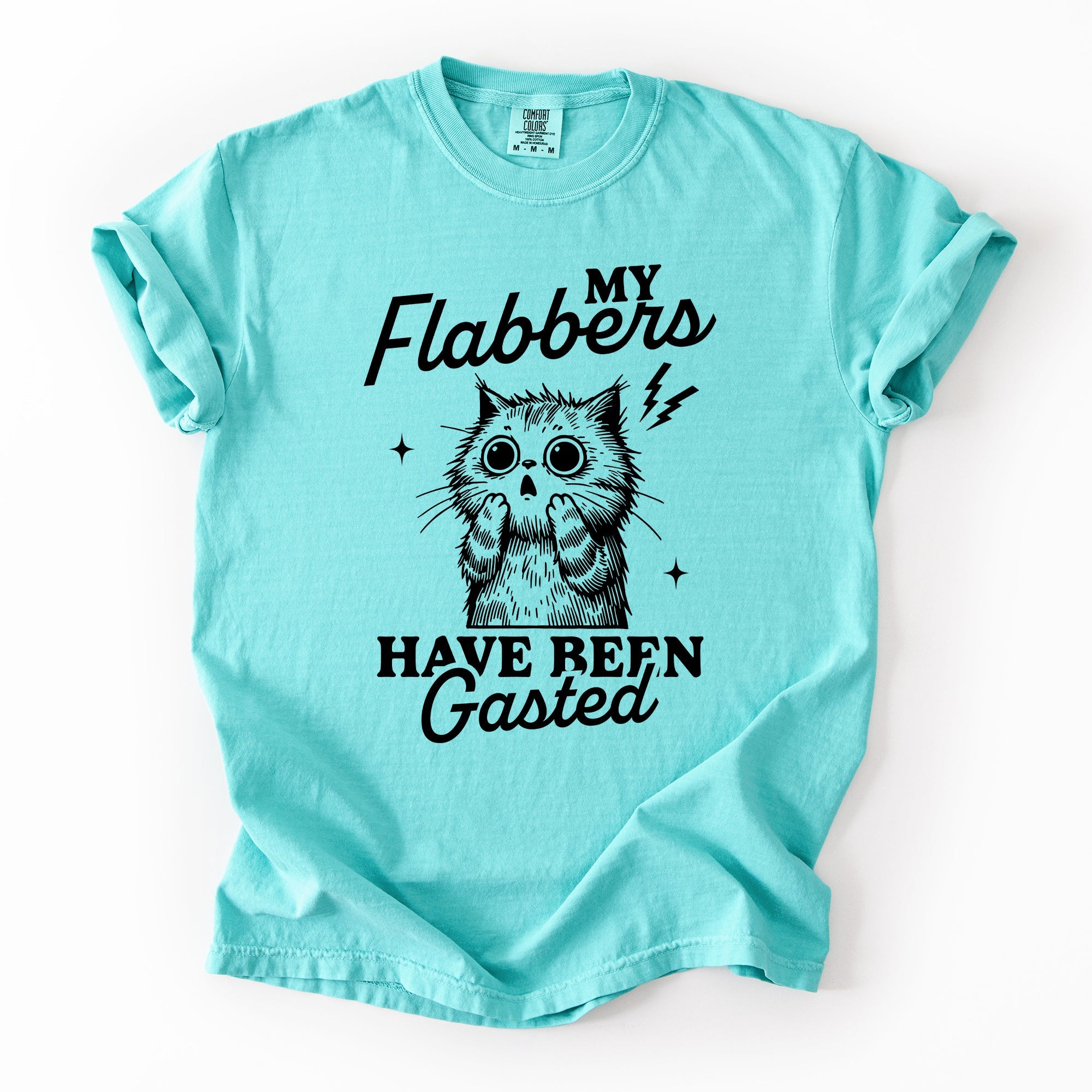 My Flabbers Have Been Gasted, Flabbergasted Cat Sass And Sarcasm Comfort Colors Tee