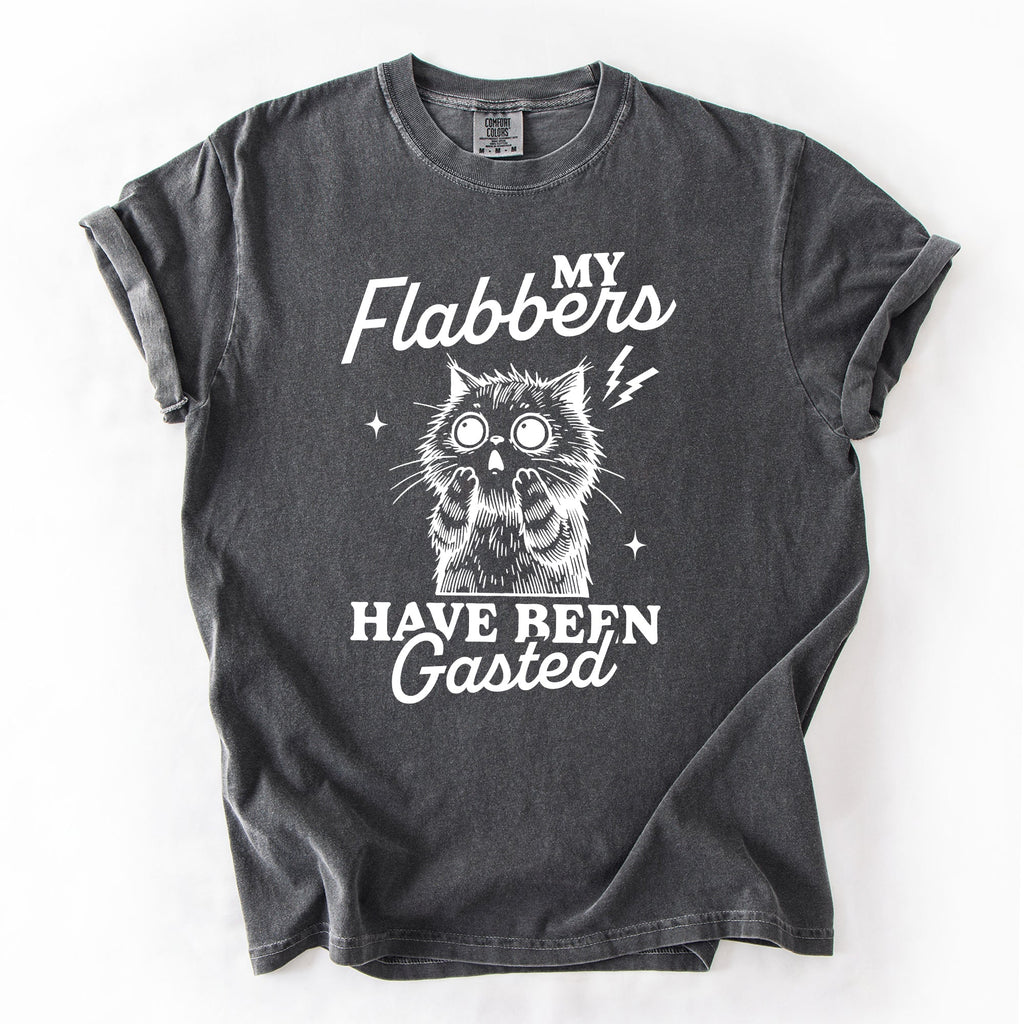 My Flabbers Have Been Gasted, Flabbergasted Cat Sass And Sarcasm Comfort Colors Tee